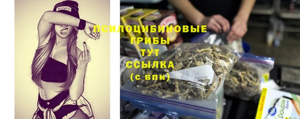 гидра Каменск-Шахтинский