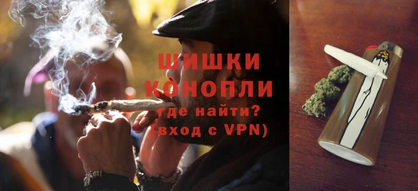 мдпв Касимов