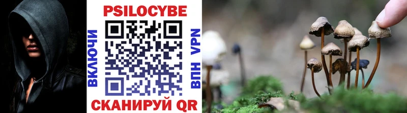 Купить  Боготол  Псилоцибиновые грибы Psilocybine cubensis 